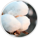 materias-prima-colchoes-biflex